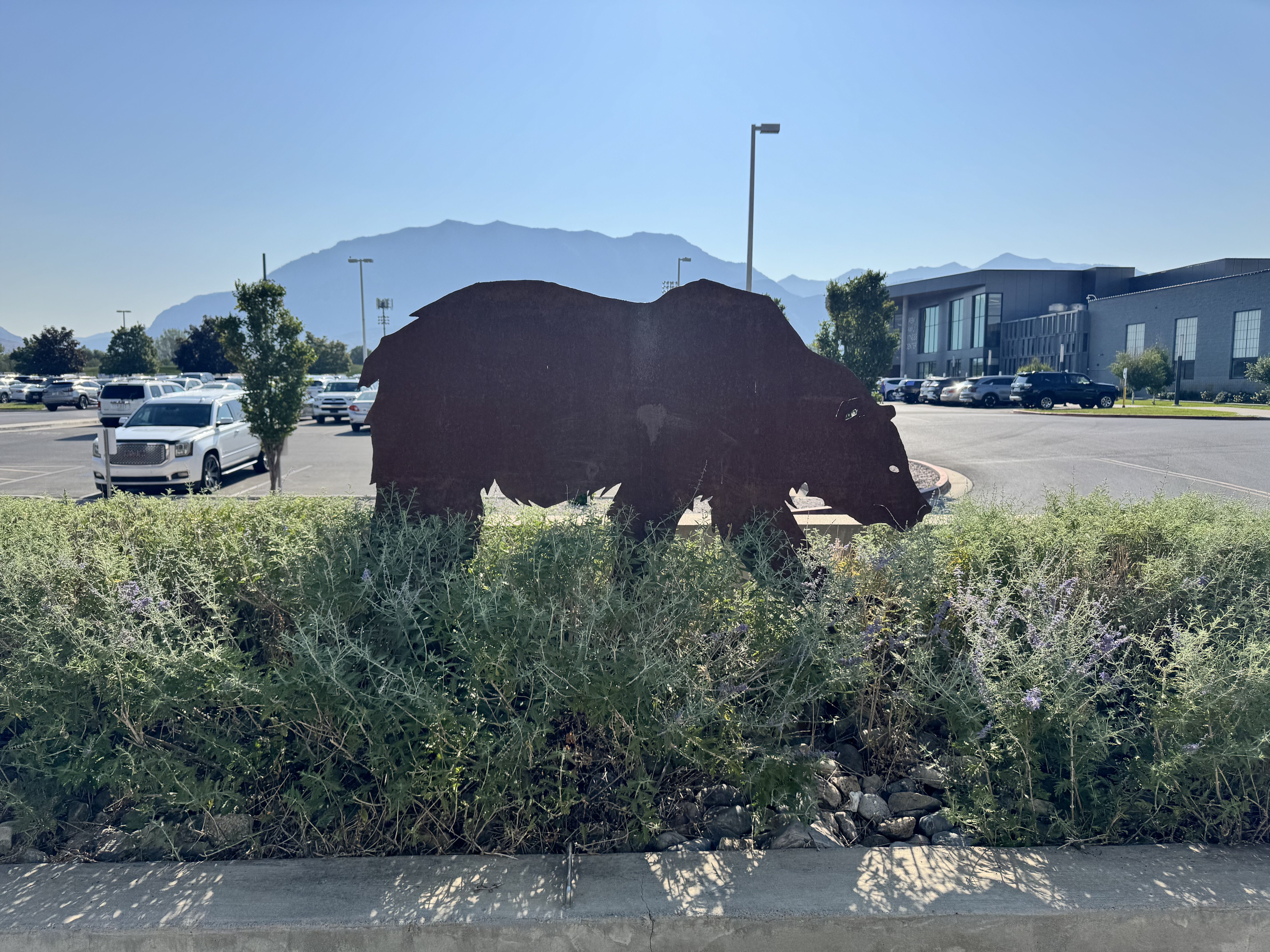Mountain View DJ event